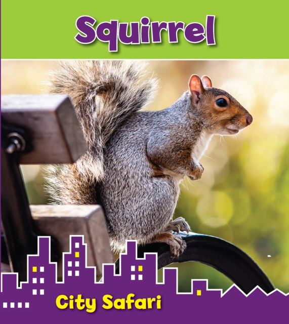 Squirrel : City Safari, Hardback Book