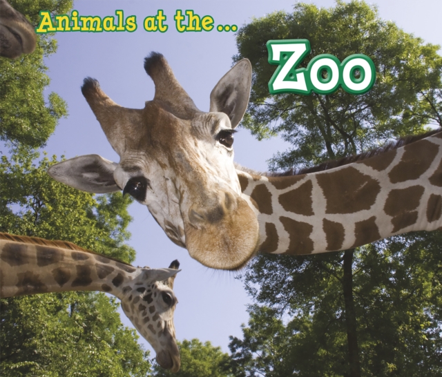 Animals at the Zoo, Hardback Book