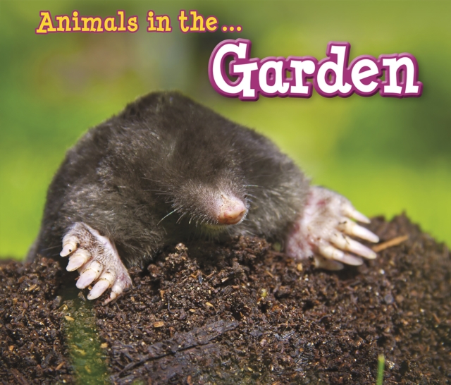 Animals in the Garden, Hardback Book