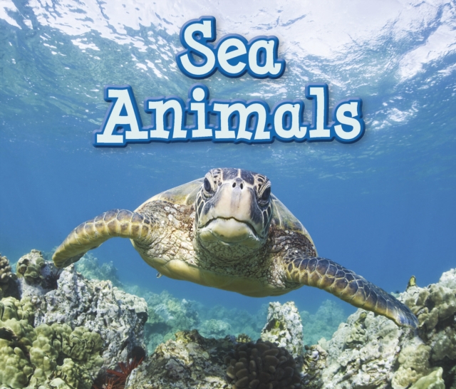 Sea Animals, Hardback Book