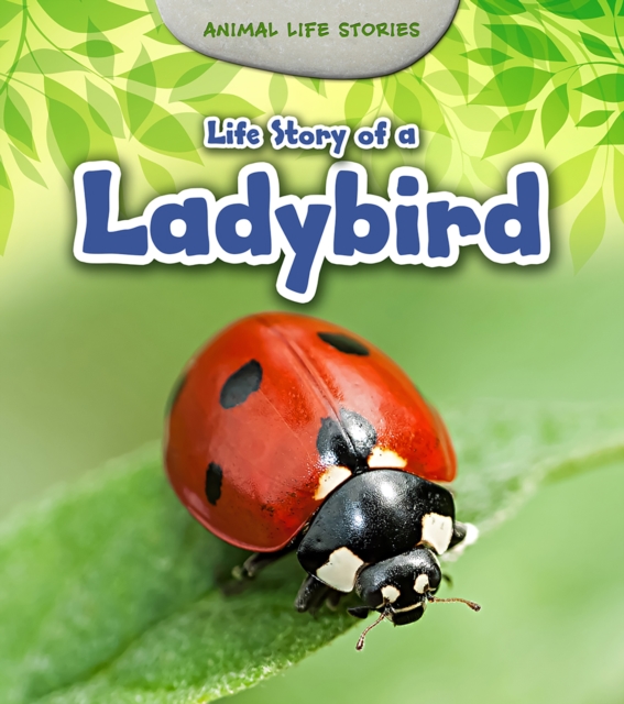 Life Story of a Ladybird, Hardback Book