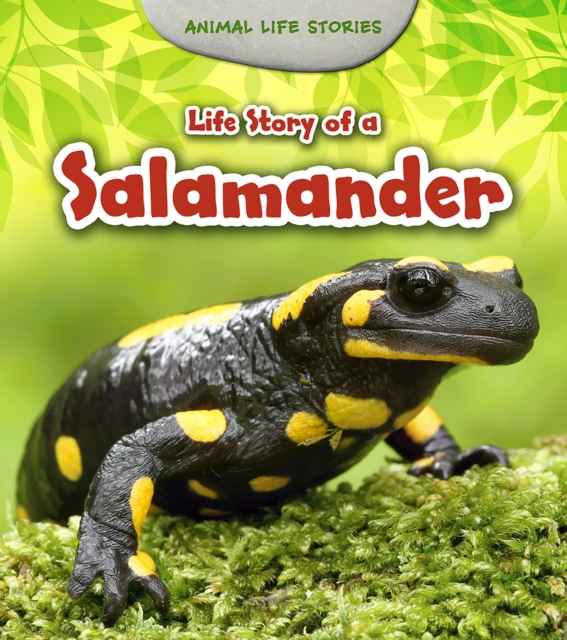 Life Story of a Salamander, Paperback / softback Book