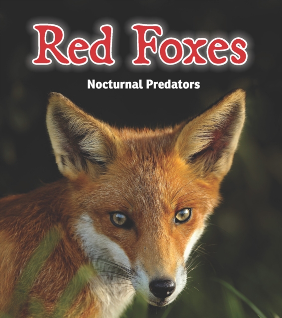 Red Foxes : Nocturnal Predators, Hardback Book
