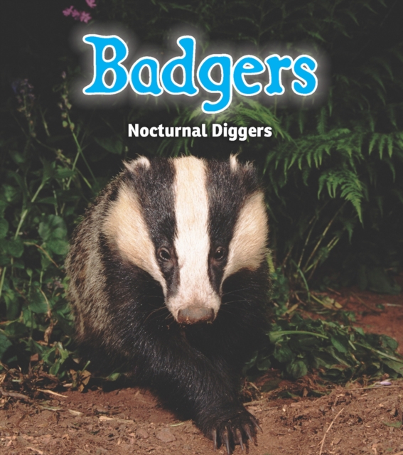 Badgers : Nocturnal Diggers, PDF eBook
