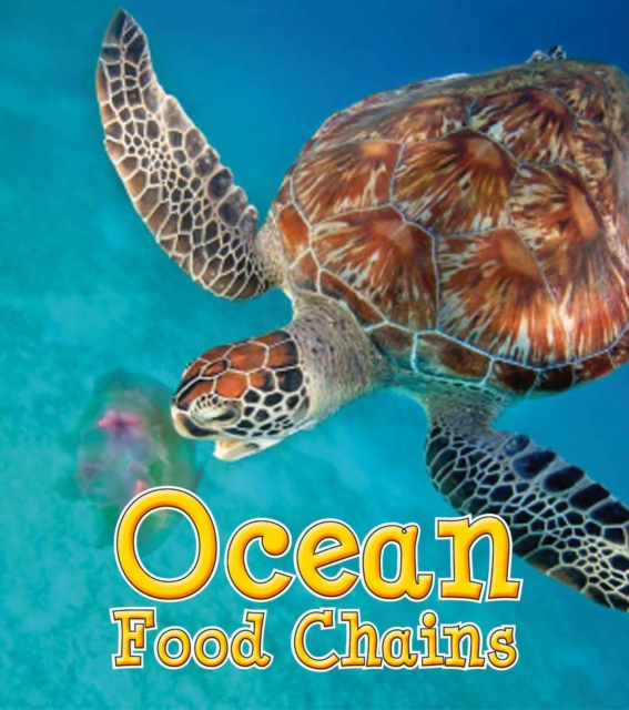 Ocean Food Chains, Paperback / softback Book