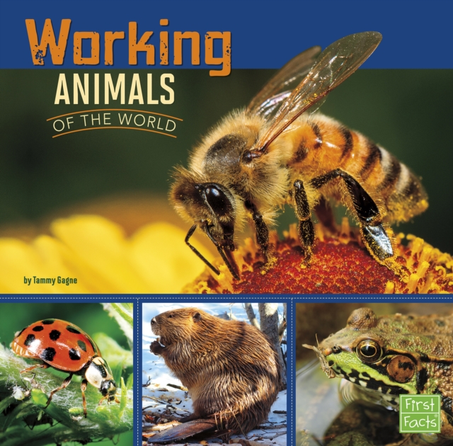 Working Animals of the World, Hardback Book