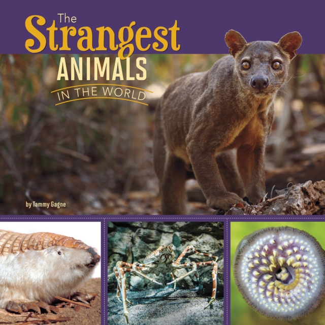 The Strangest Animals in the World, Paperback / softback Book