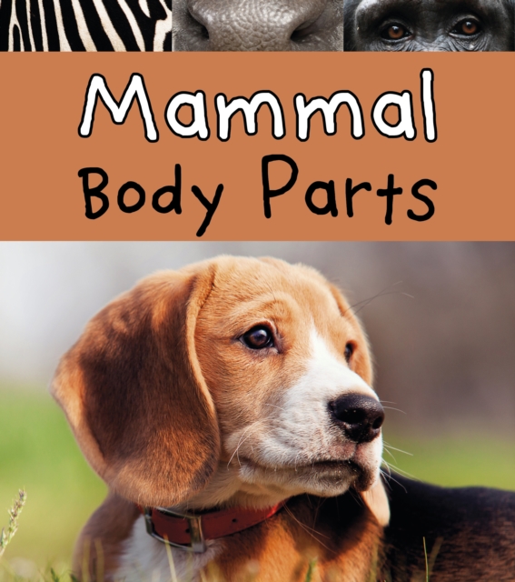 Mammal Body Parts, Hardback Book