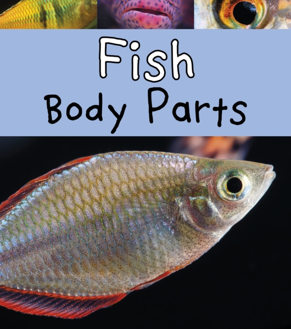 Fish Body Parts, PDF eBook