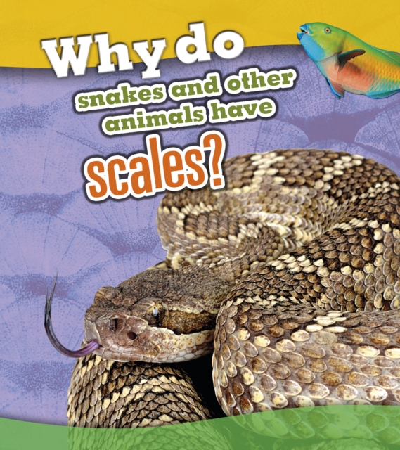 Why Do Snakes and Other Animals Have Scales?, Hardback Book