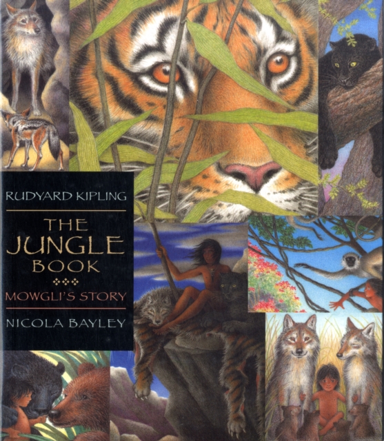 The Jungle Book : Mowgli's Story Walker Illustrated Classic, Paperback Book