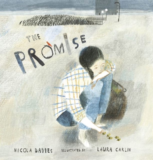 The Promise, Hardback Book