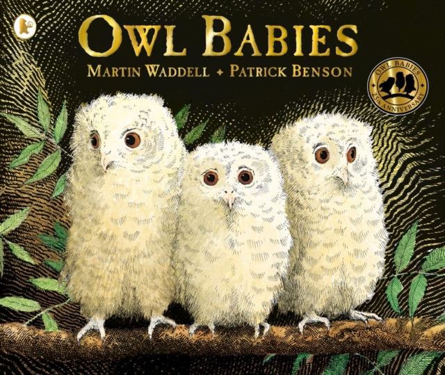 Owl Babies, Paperback / softback Book