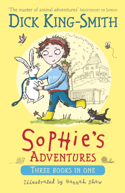 Sophie's Adventures, Paperback / softback Book