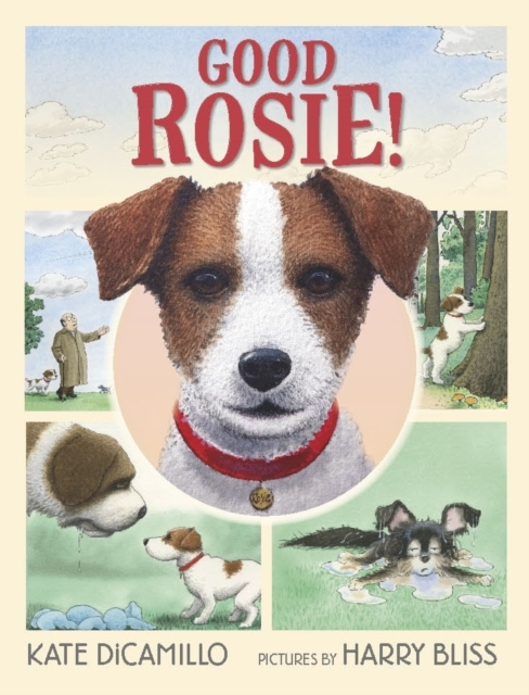 Good Rosie!, Hardback Book