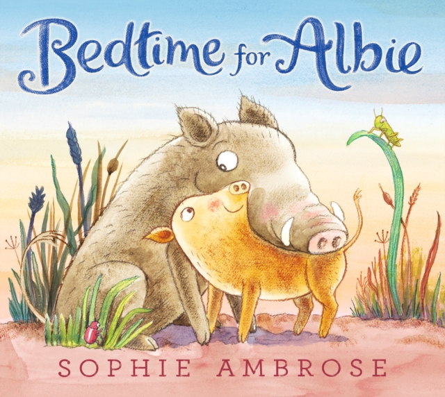 Bedtime for Albie, Hardback Book