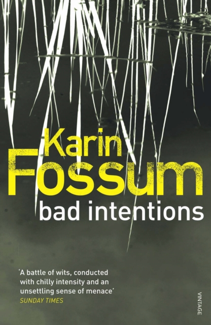 Bad Intentions, EPUB eBook