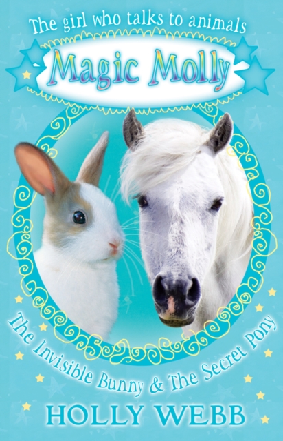 The Invisible Bunny and The Secret Pony, Paperback Book