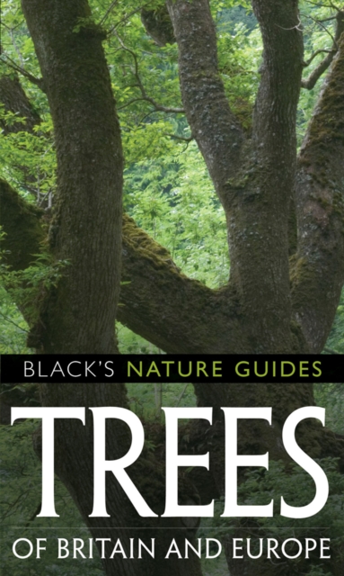 Trees of Britain and Europe, Paperback / softback Book