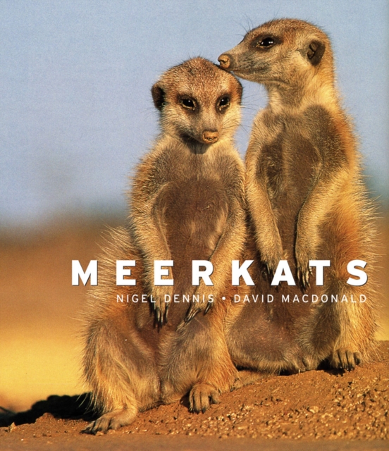 Meerkats, Hardback Book