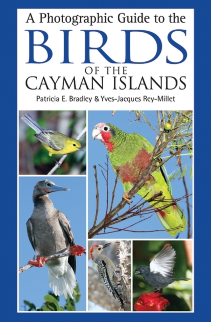 A Photographic Guide to the Birds of the Cayman Islands, Paperback Book