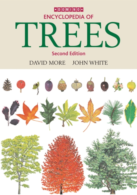 Illustrated Trees of Britain and Northern Europe, Hardback Book