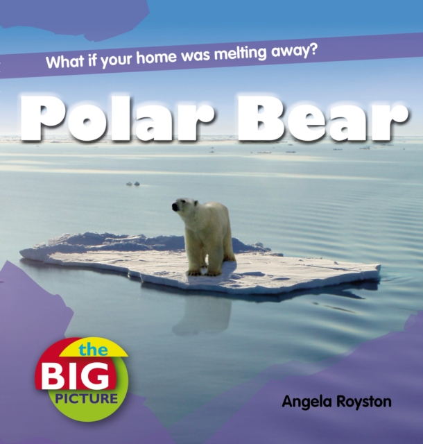 Polar Bear, Paperback / softback Book