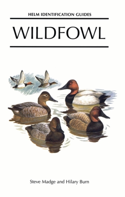 Wildfowl : An Identification Guide to the Ducks, Geese and Swans of the World, PDF eBook