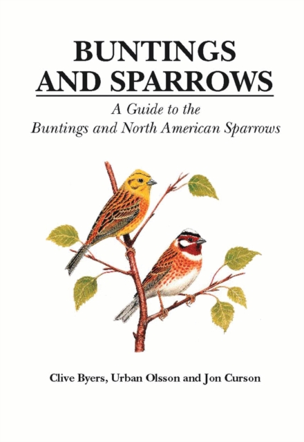 Buntings and Sparrows : A Guide to the Buntings and North American Sparrows, EPUB eBook