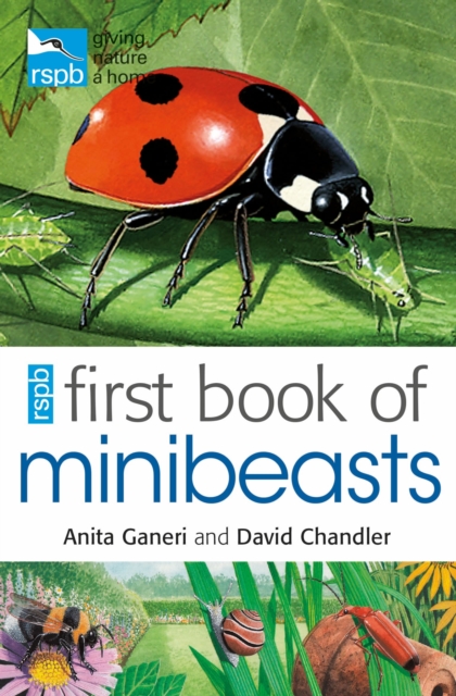 RSPB First Book Of Minibeasts, Paperback / softback Book
