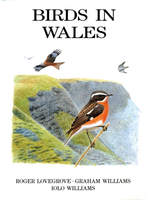 Birds in Wales, EPUB eBook