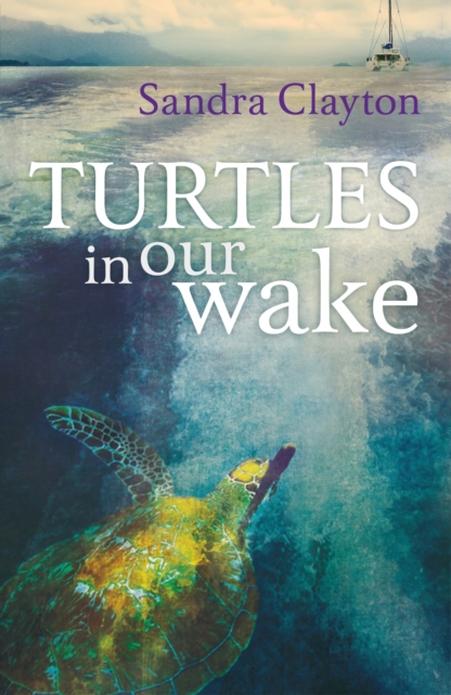Turtles in Our Wake, Paperback / softback Book