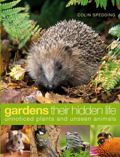 Gardens: Their Hidden Life : Unnoticed Plants and Unseen Animals, Hardback Book