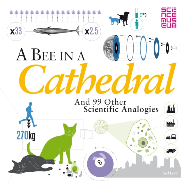 A Bee in a Cathedral : And 99 other scientific analogies, Paperback / softback Book