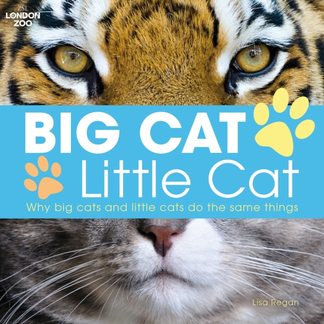 Big Cat, Little Cat, Paperback / softback Book