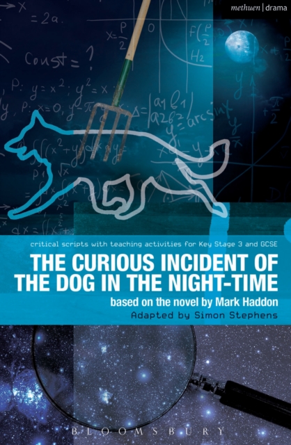The Curious Incident of the Dog in the Night-Time : The Play, PDF eBook