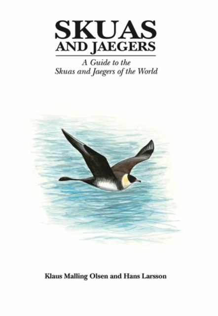 Skuas and Jaegers, Hardback Book