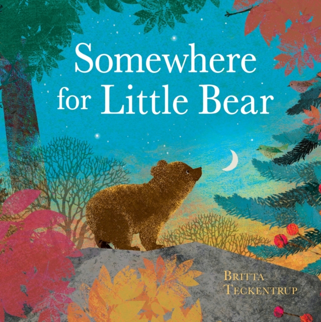 Somewhere for Little Bear, Paperback / softback Book