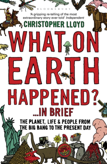 What on Earth Happened? ... In Brief : The Planet, Life and People from the Big Bang to the Present Day, EPUB eBook