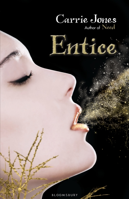 Entice, Paperback / softback Book