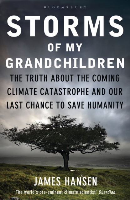 Storms of My Grandchildren : The Truth about the Coming Climate Catastrophe and Our Last Chance to Save Humanity, EPUB eBook