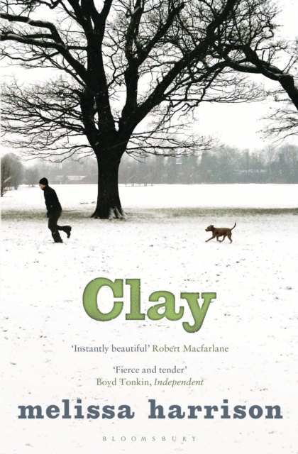 Clay, EPUB eBook