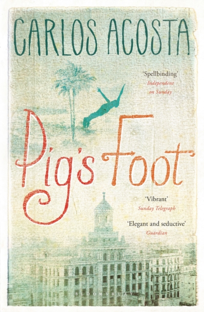Pig's Foot, Paperback / softback Book