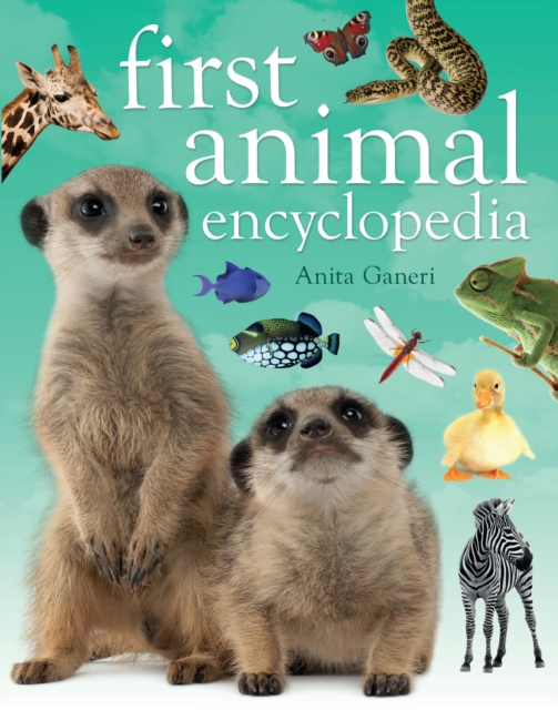 First Animal Encyclopedia, Hardback Book