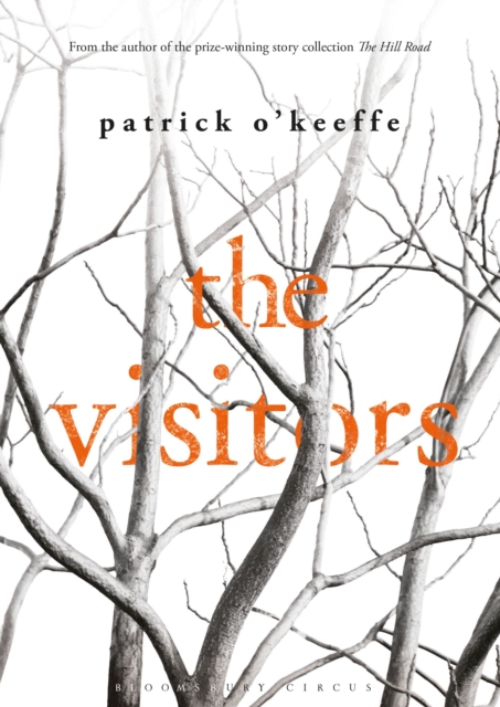 The Visitors, Paperback Book