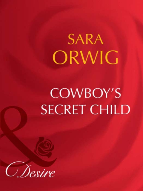 Cowboy's Secret Child, EPUB eBook