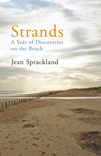 Strands : A Year of Discoveries on the Beach, EPUB eBook