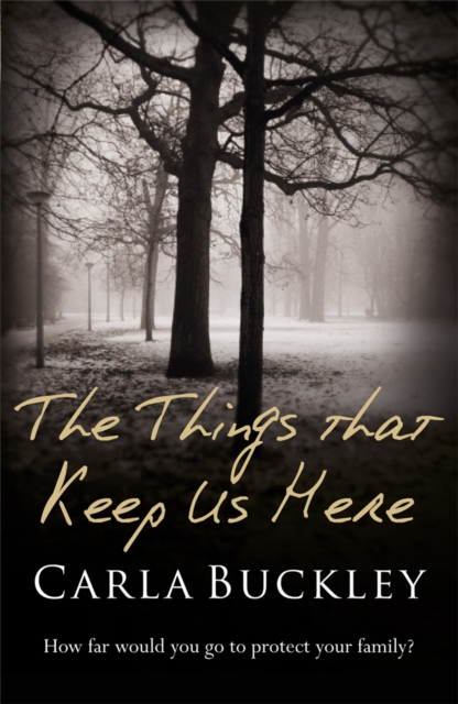 The Things That Keep Us Here : HOW DO YOU PROTECT YOUR FAMILY DURING A NATIONWIDE PANDEMIC?, Paperback / softback Book
