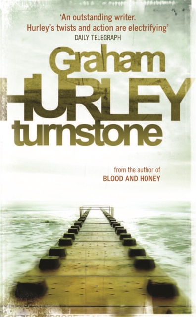 Turnstone, Paperback / softback Book
