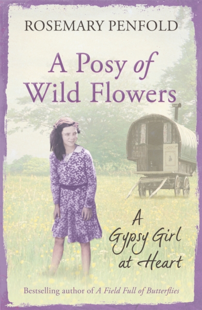A Posy of Wild Flowers : A Gypsy Girl at Heart, Paperback / softback Book